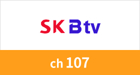 SK BTV 채널번호 255